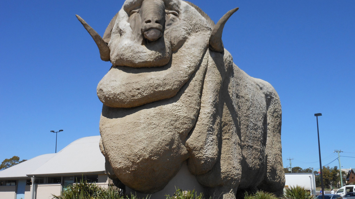 On Canberra and Mt Kosciuszko summit hike Photo11