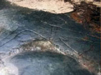 Aboriginal Engravings in Ku-ring-gai Chase Park