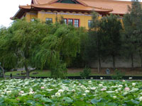 nan tien temple wollongong