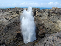 Kiama Blow Hole & Winery