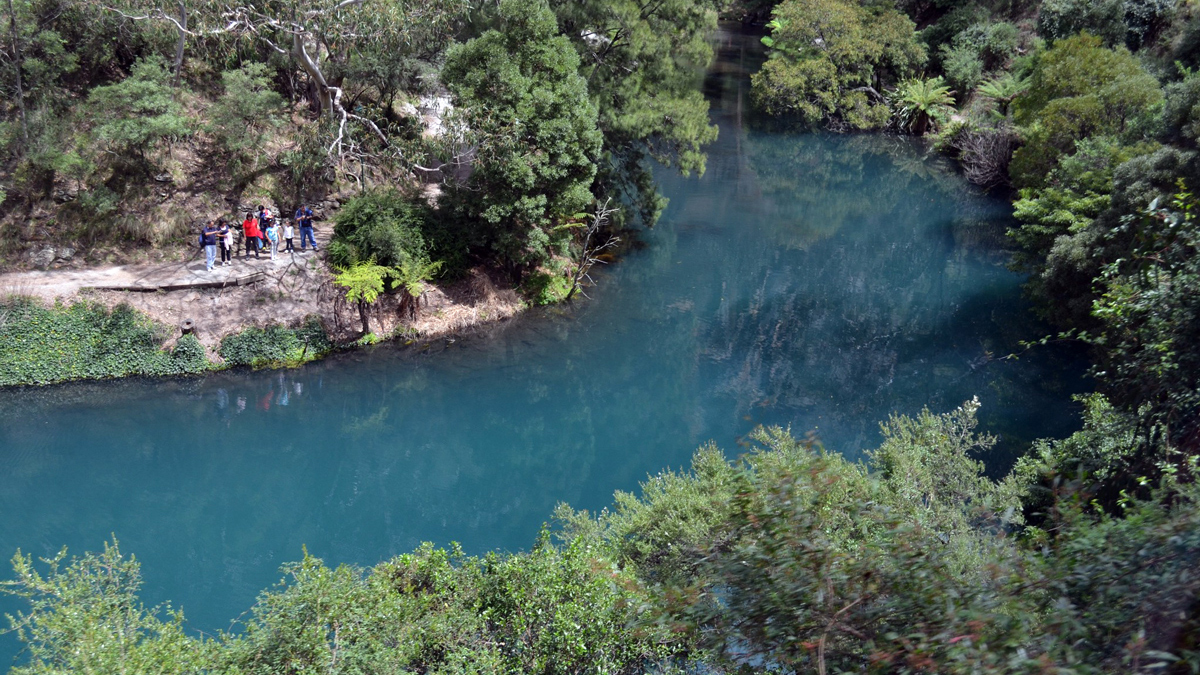 On Blue Mountains and Jenolan Caves Private Tour16