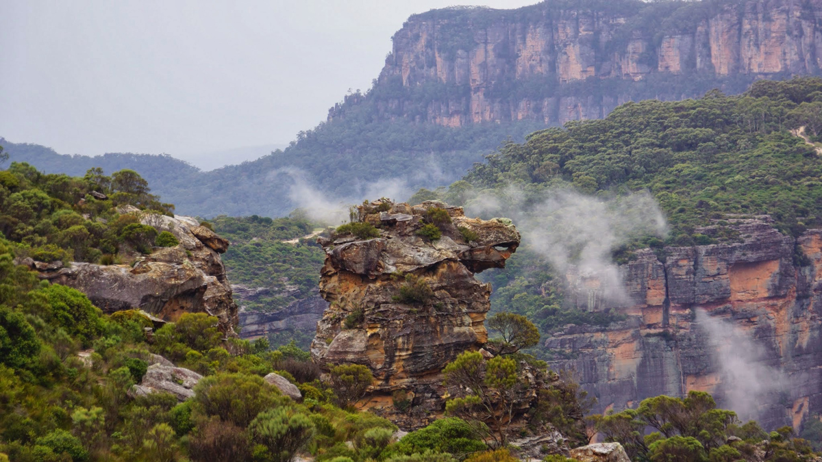 On Blue Mountains and Sydney Private Tour16