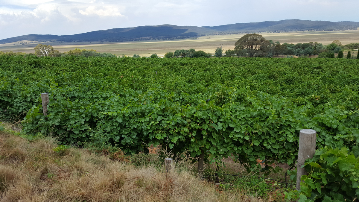 Day Tour to Canberra Photo16