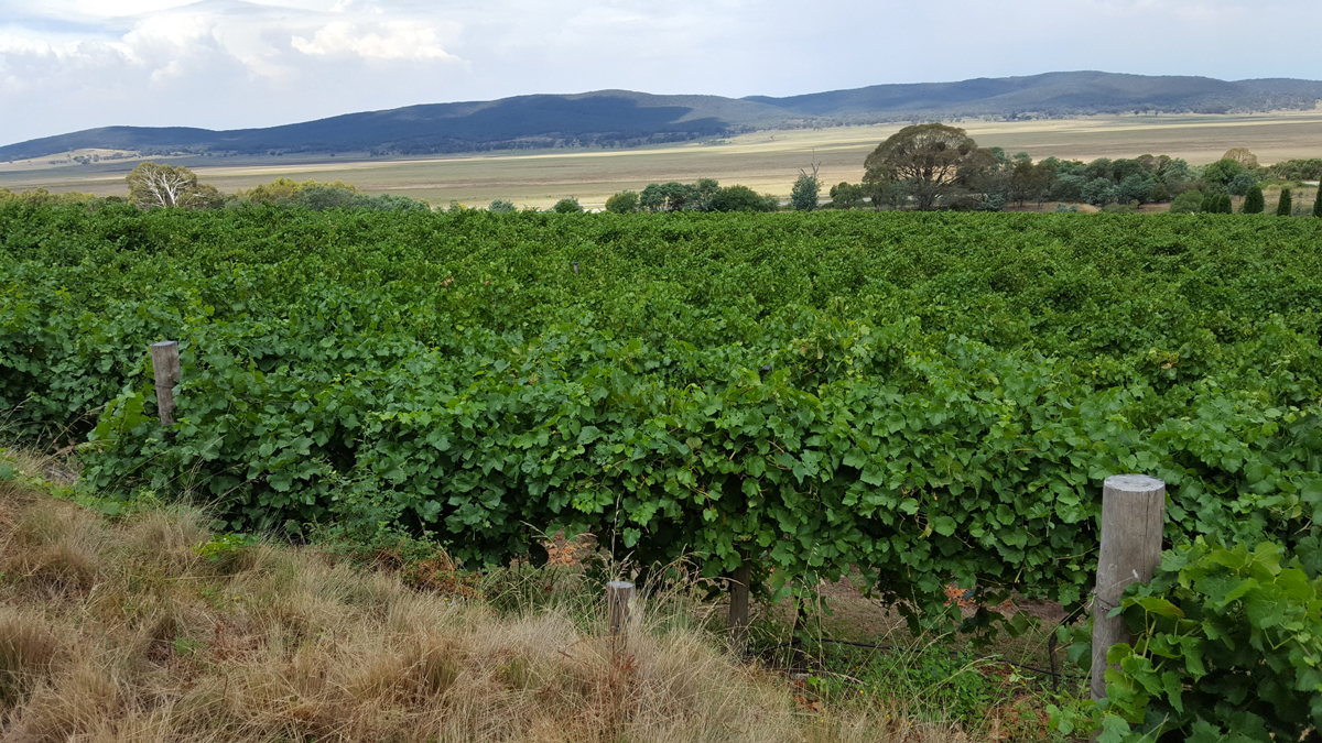 Day Tour to Canberra Photo16