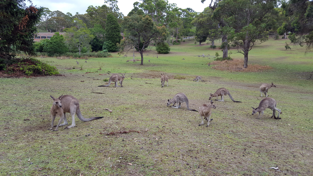 Hunter Valley Private Tour Winery5