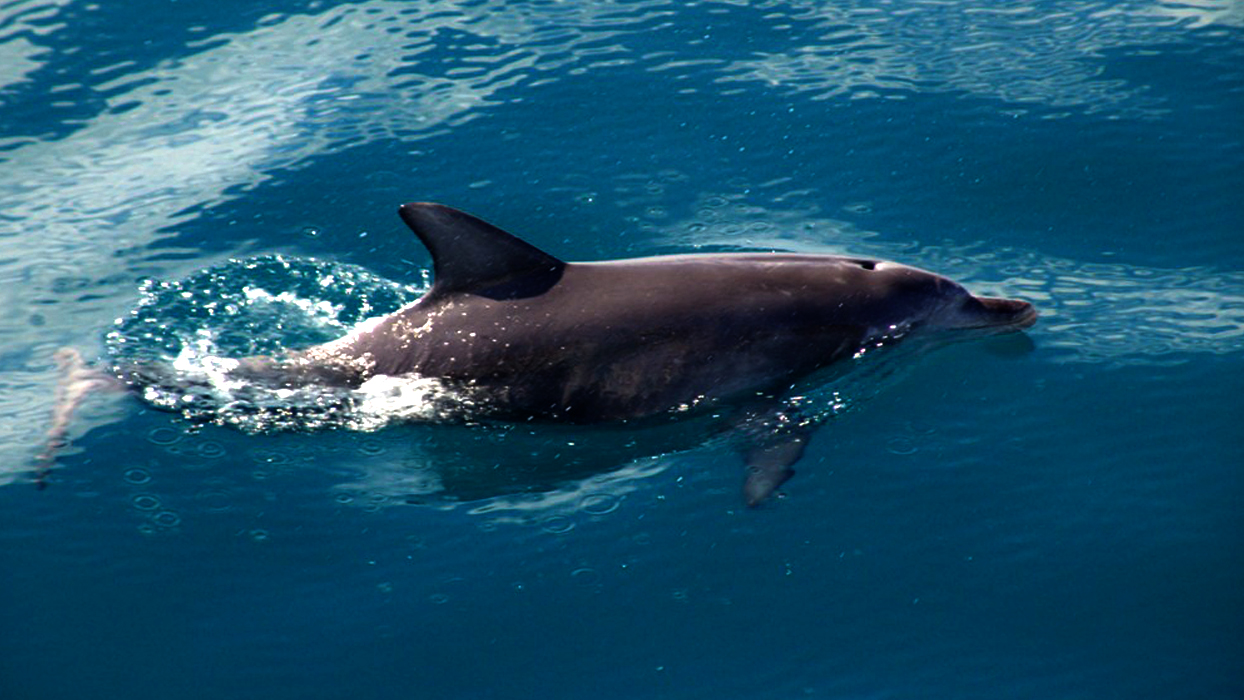 On Tour to Jervis Bay Photo8