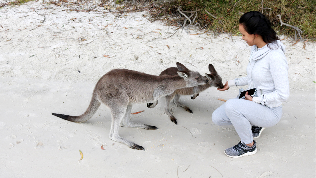 On Tour to Jervis Bay Photo10