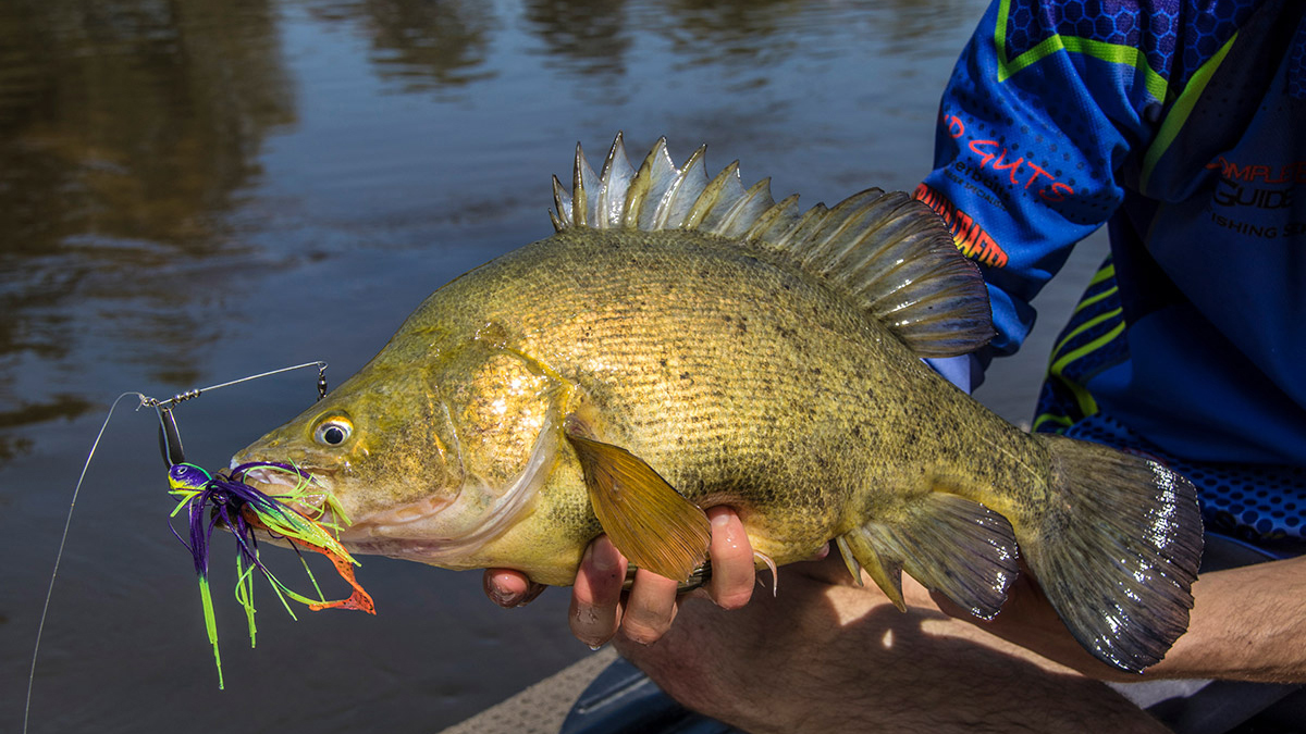 Fishing & Sailing  Photo5