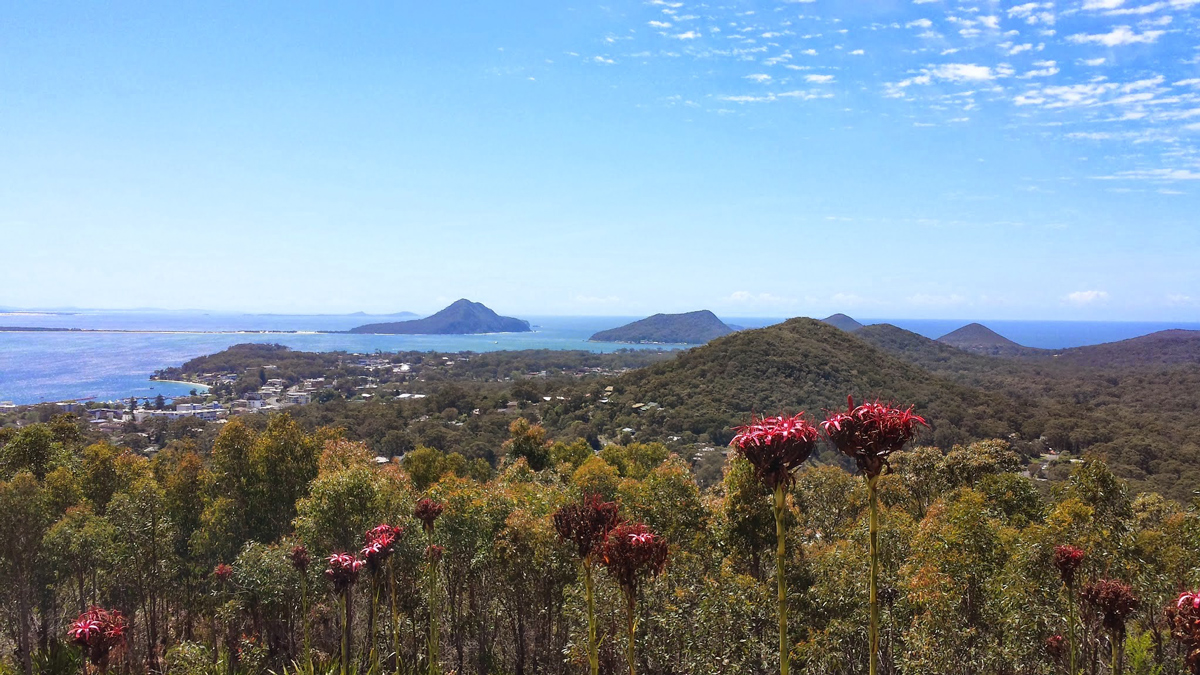 On Hunter Valley and Nelson Bay Photo10