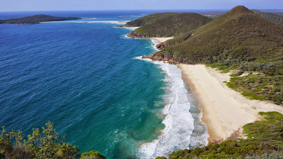 On Port Stephens, Dolphin/Whales Photo15