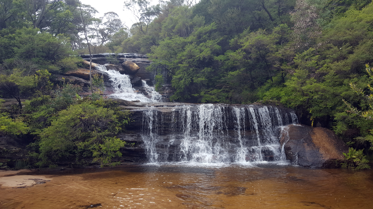 Blue Mountains Private Tour Photo13