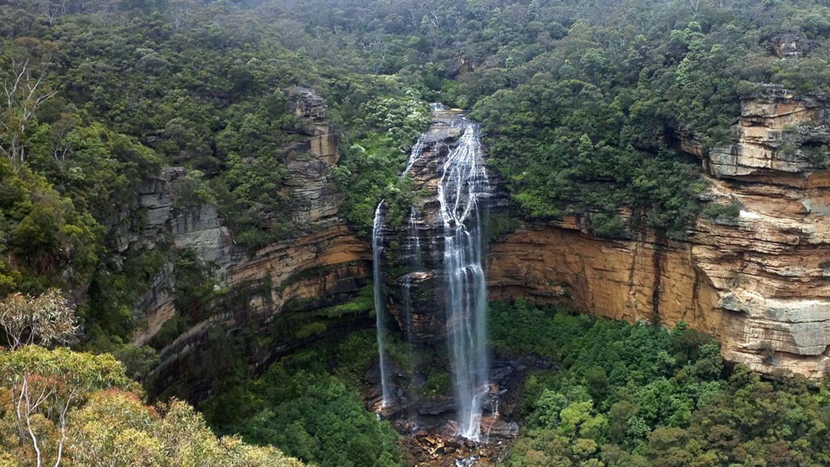 Blue Mountains Private Tour Photo6