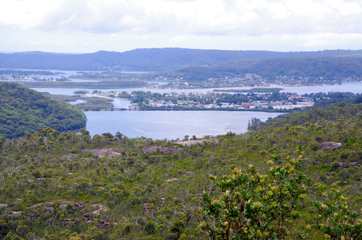 Northern Beaches and Central Coast Tour Photo13