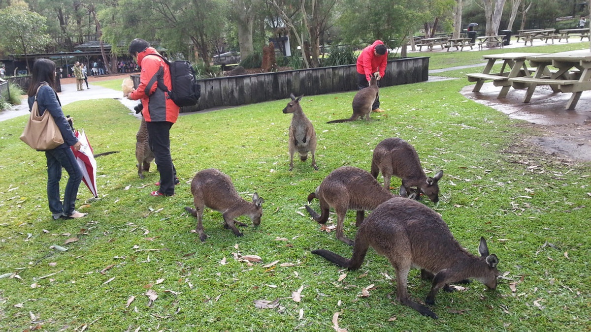 Northern Beaches and Central Coast Tour Photo5