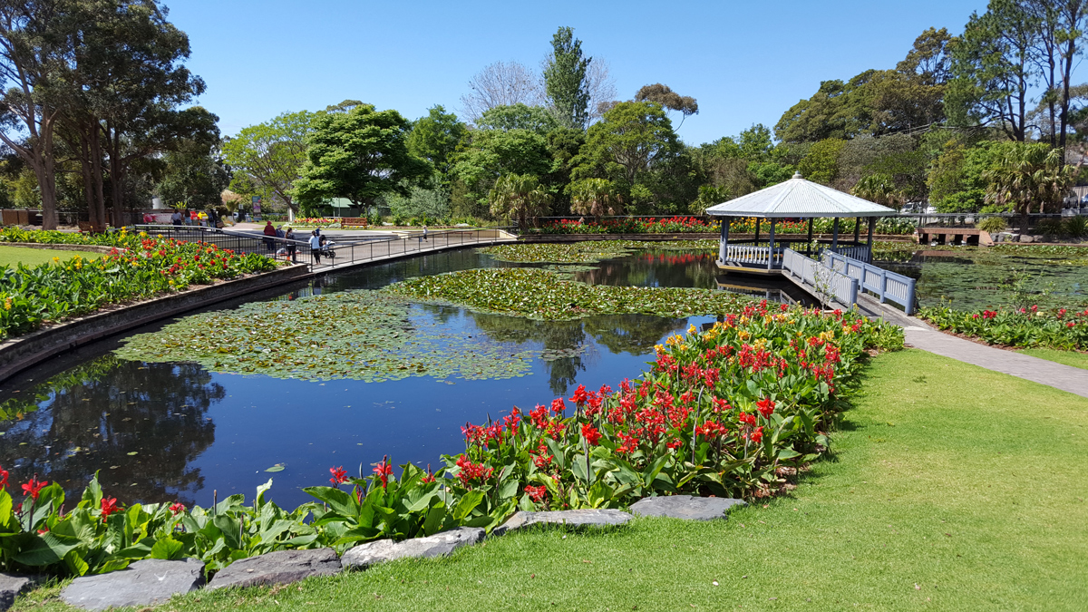 Blue Mountains Private Tour Photo4