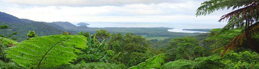 Lookout near CapeTribulation 