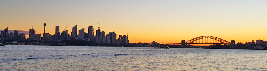 night sydney panorama