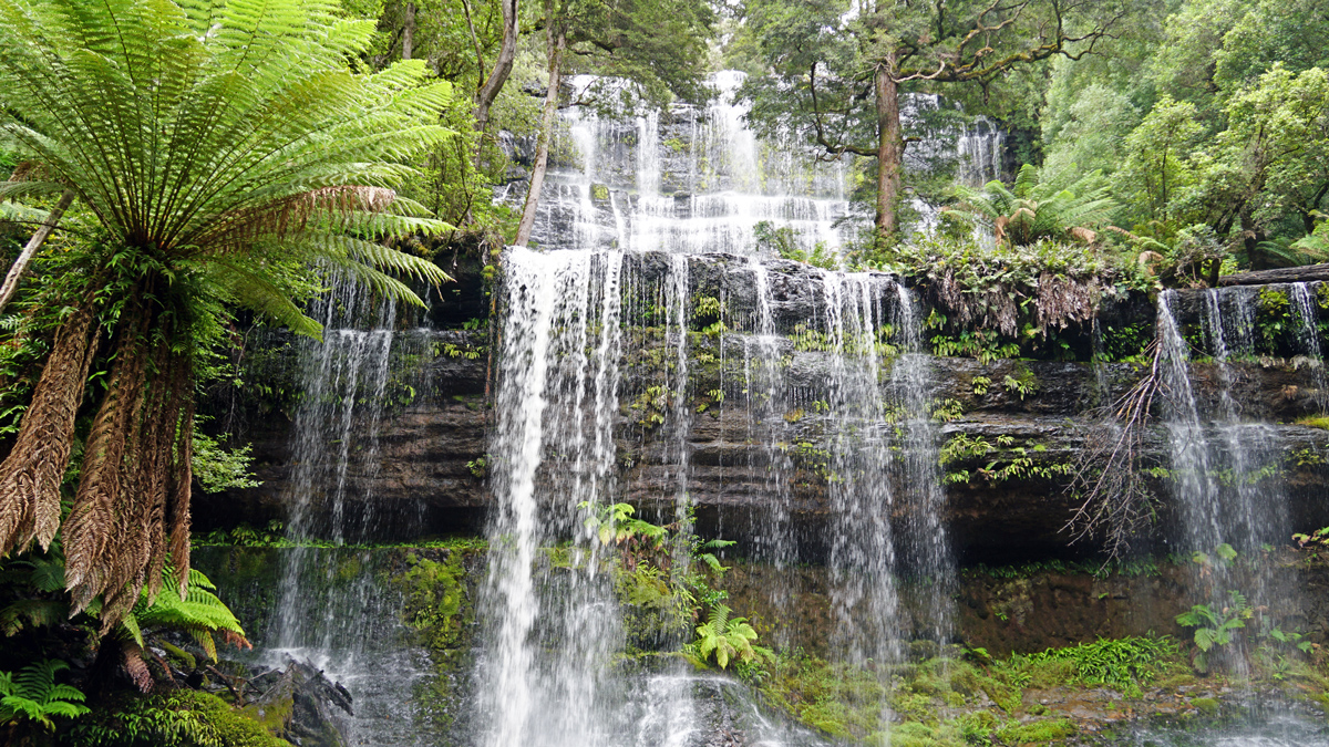 Tasmania Private Tour