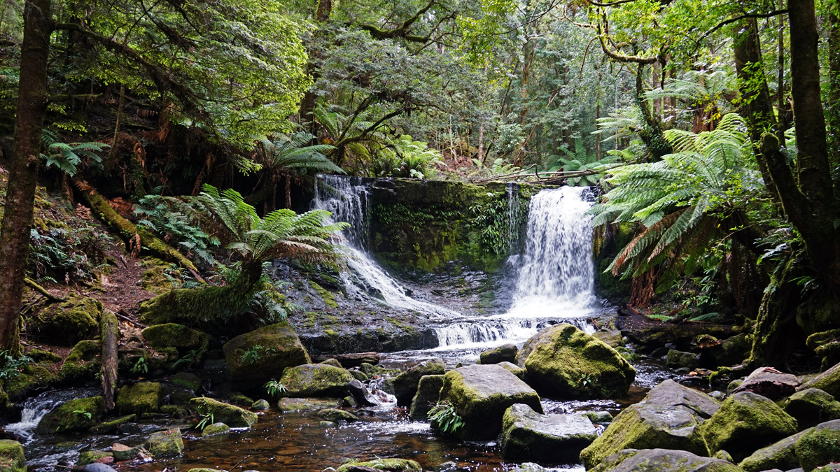 Tasmania Private Tour