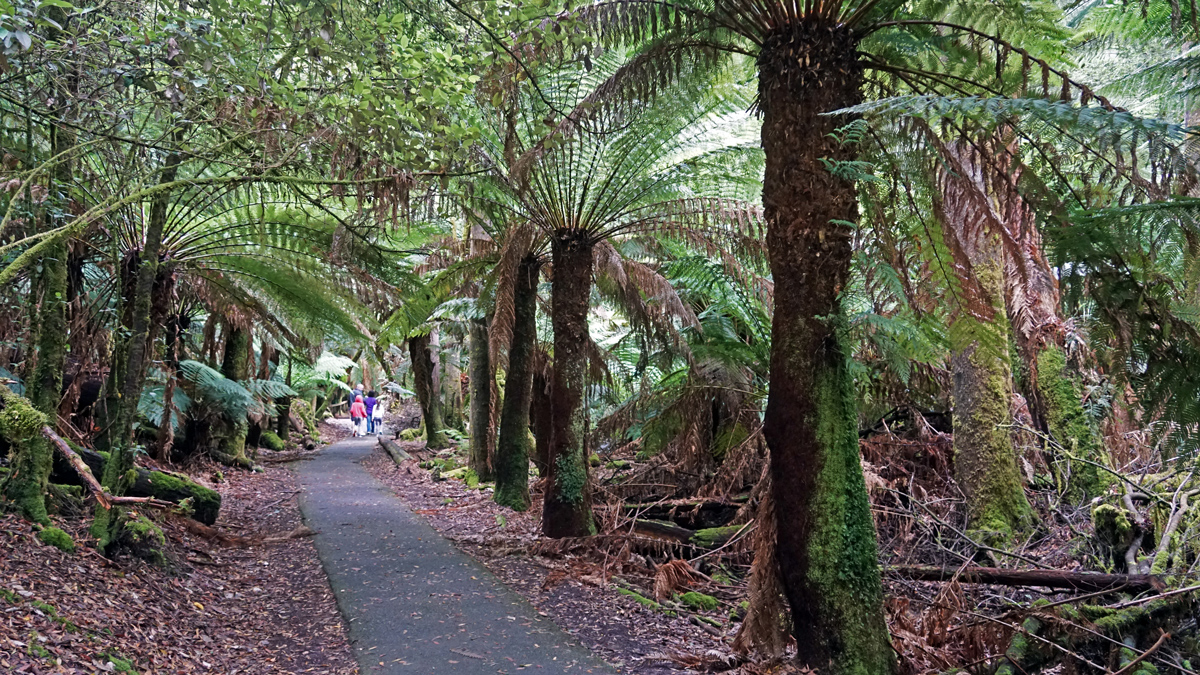 Tasmania Private Tour