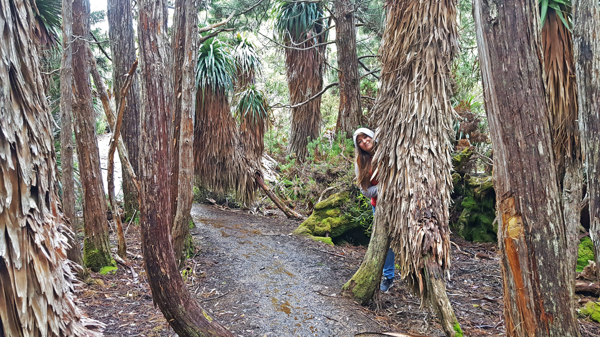 Tasmania Private Tour