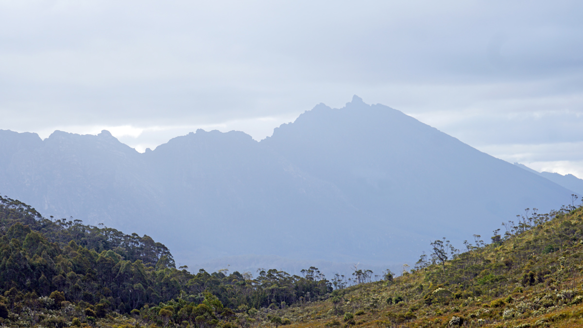 Tasmania Private Tour