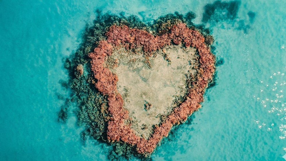 Heart Reef on the Great Barrier Reef Queensland