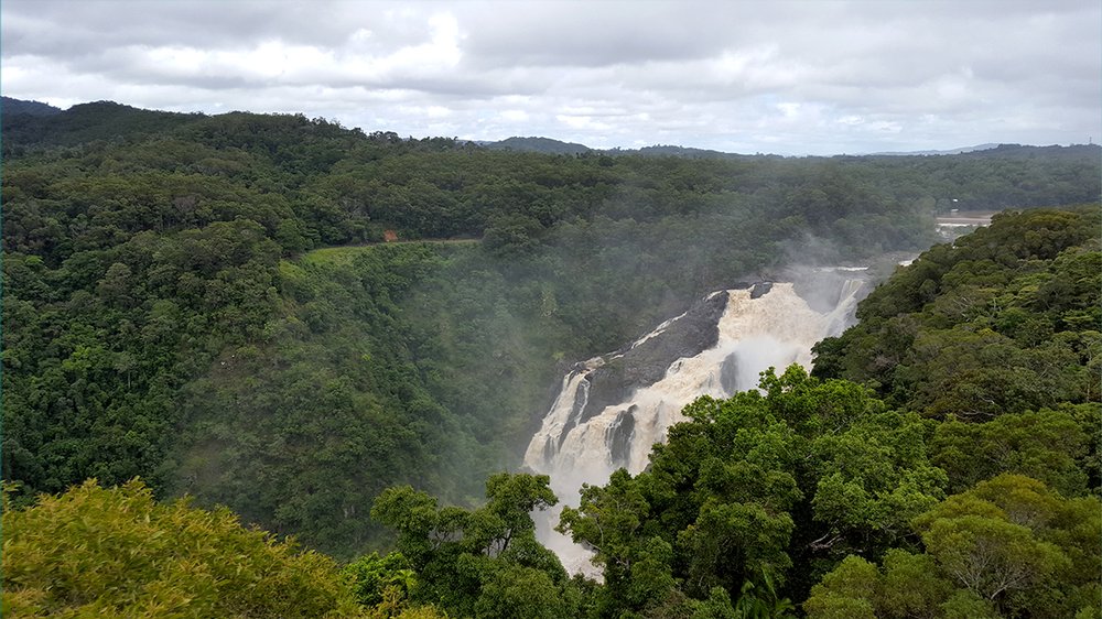 Barron Falls rainforest at Kuranda near Cairns
