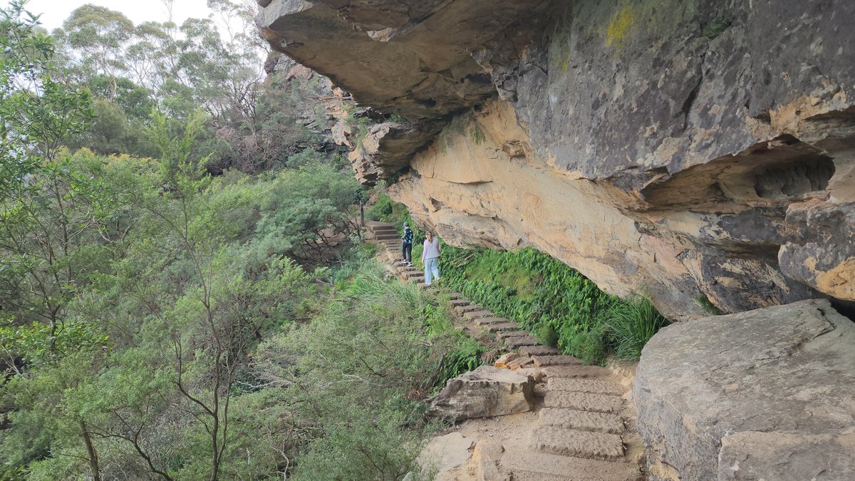 Stone steps cut into sandstone cliff on the Wentworth Falls National Pass track