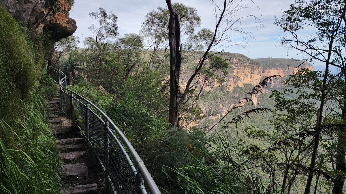 Cliff edge walking trail with railing on the Wentworth Falls clifftop loop