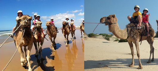 Camel Ride Anna Bay NSW