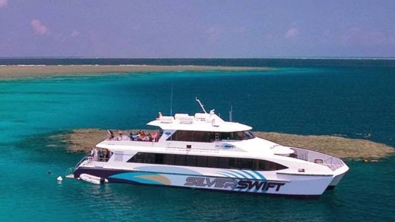 Silverswift dive catamaran on the reef