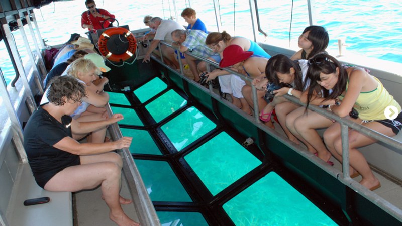 Visitors looking at coral through the glass bottom of a boat without entering the water