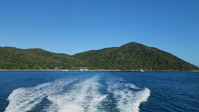 Fitzroy Island — rainforest-covered hills, beach and boats offshore