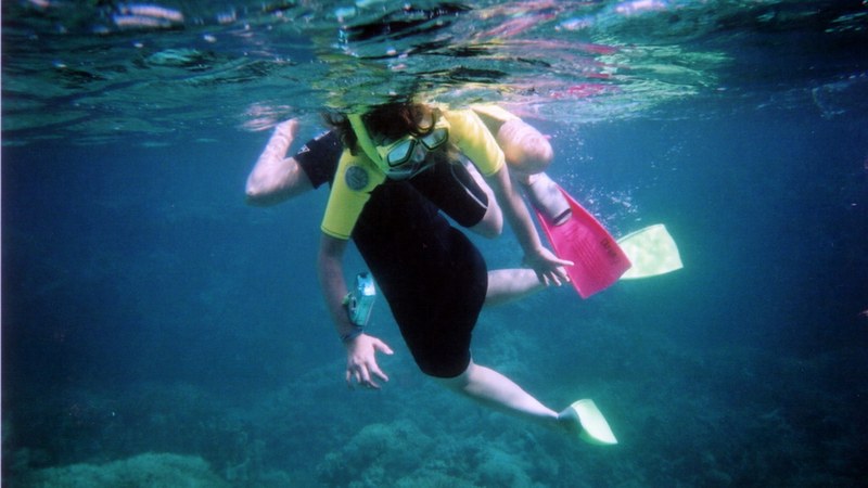 Snorkeller in a stinger suit, mask and fins swimming above the coral