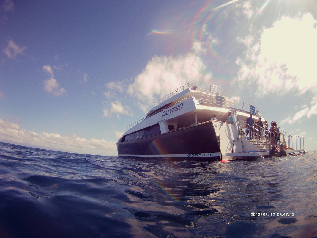 Great Barrier Reef Tour in Small Group