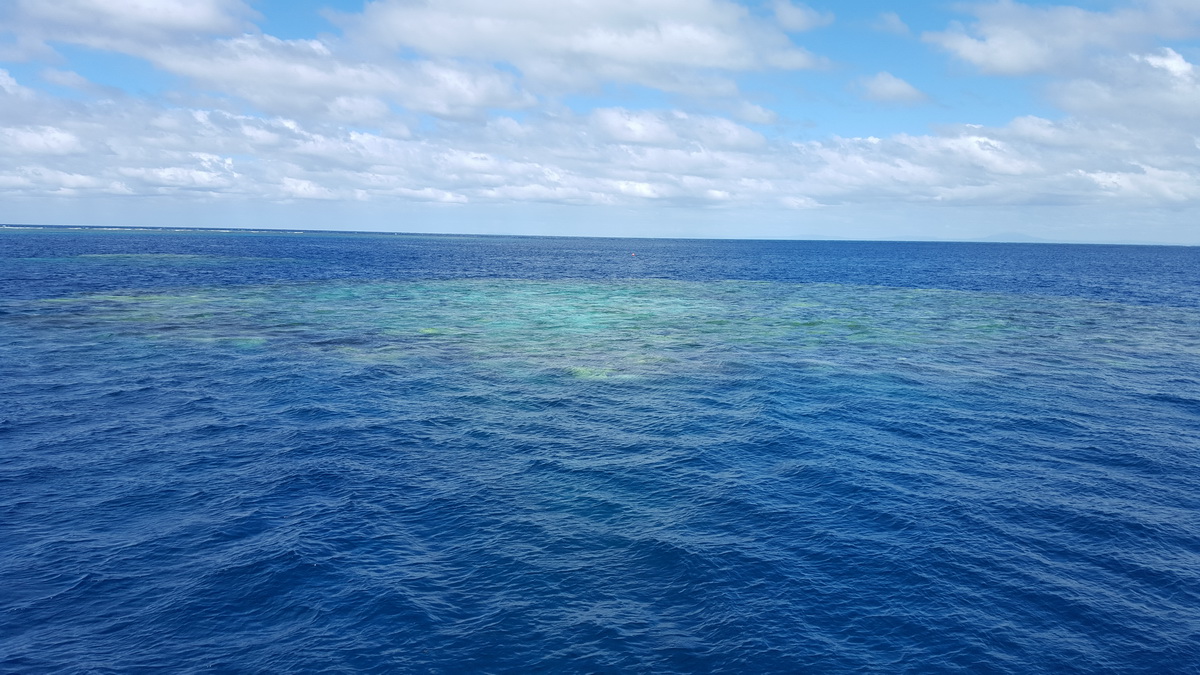 Great Barrier Reef Tour in Small Group