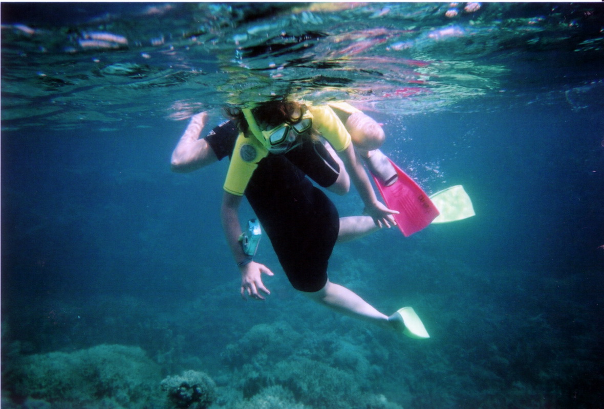 Great Barrier Reef Tour in Small Group