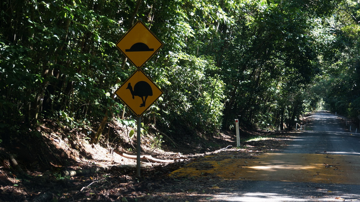 Wet Tropics and Crocodiles Private Tour