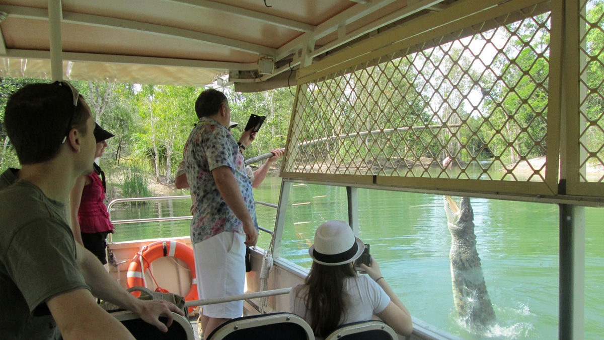 Wet Tropics and Crocodiles Private Tour