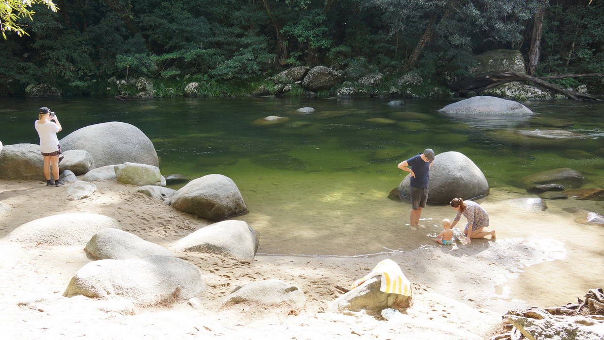 Wet Tropics and Crocodiles Private Tour