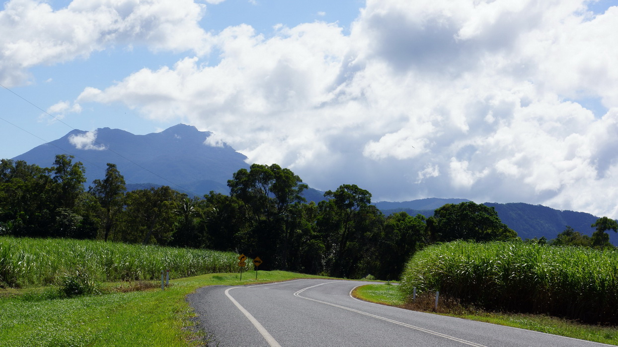 Wet Tropics and Crocodiles Private Tour