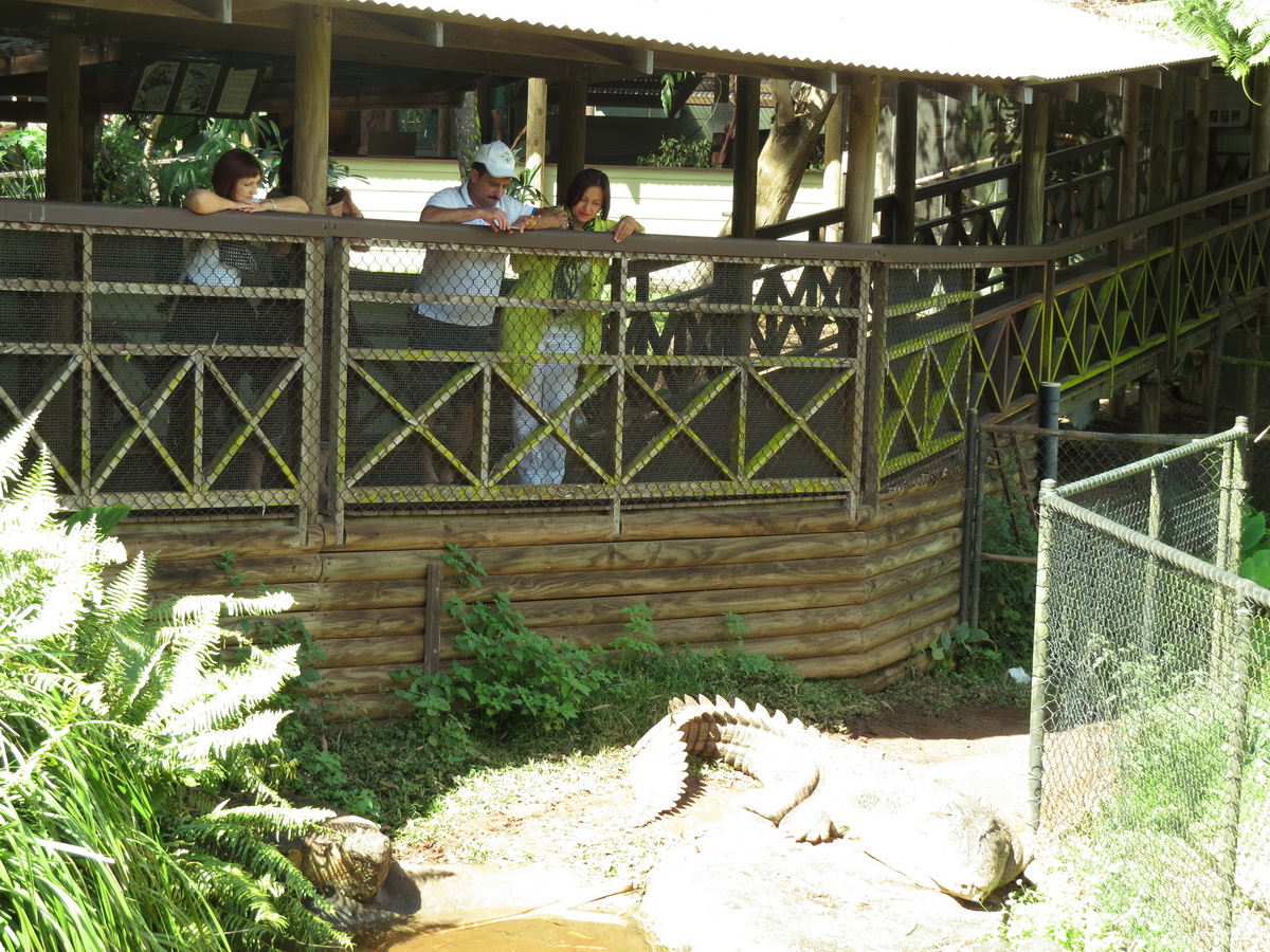 Kuranda Private Tour