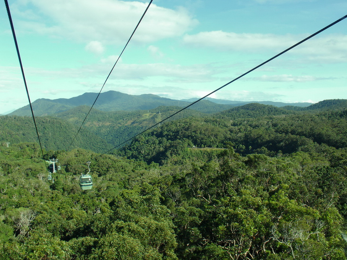 Kuranda Private Tour