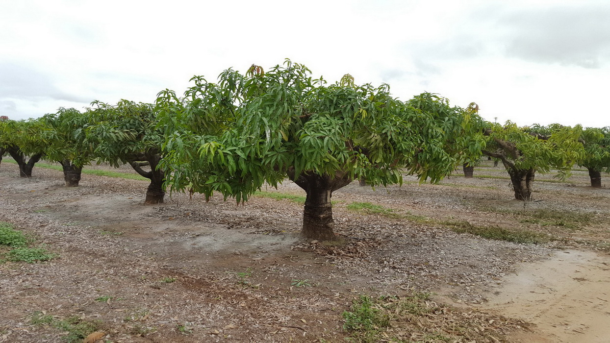 The Atheron Tablelands Private Tour