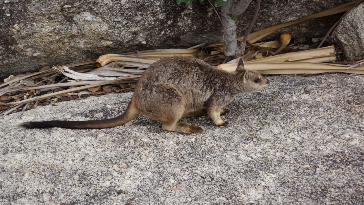 Inland Caves & Wonders Private Tour