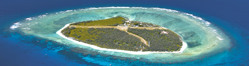 Lady Elliot Island Tour