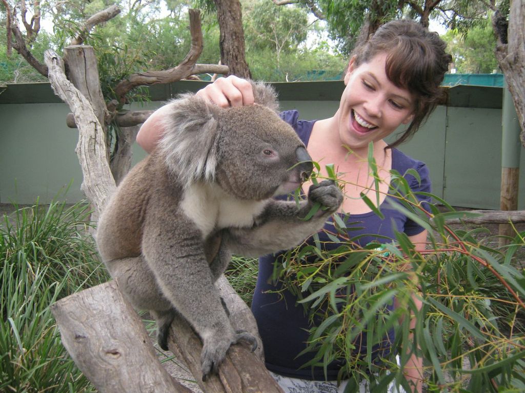 Phillip Island Private Tour with Penguin Parade Private Tourr