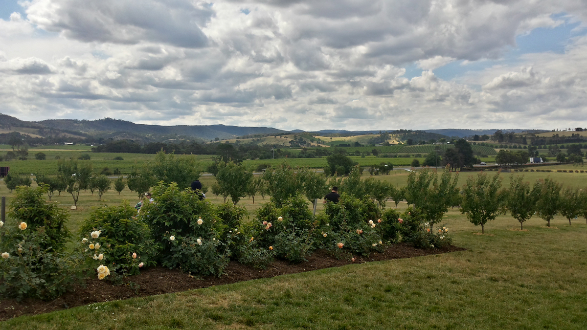 Yarra Valley Private Winery  Private Tour