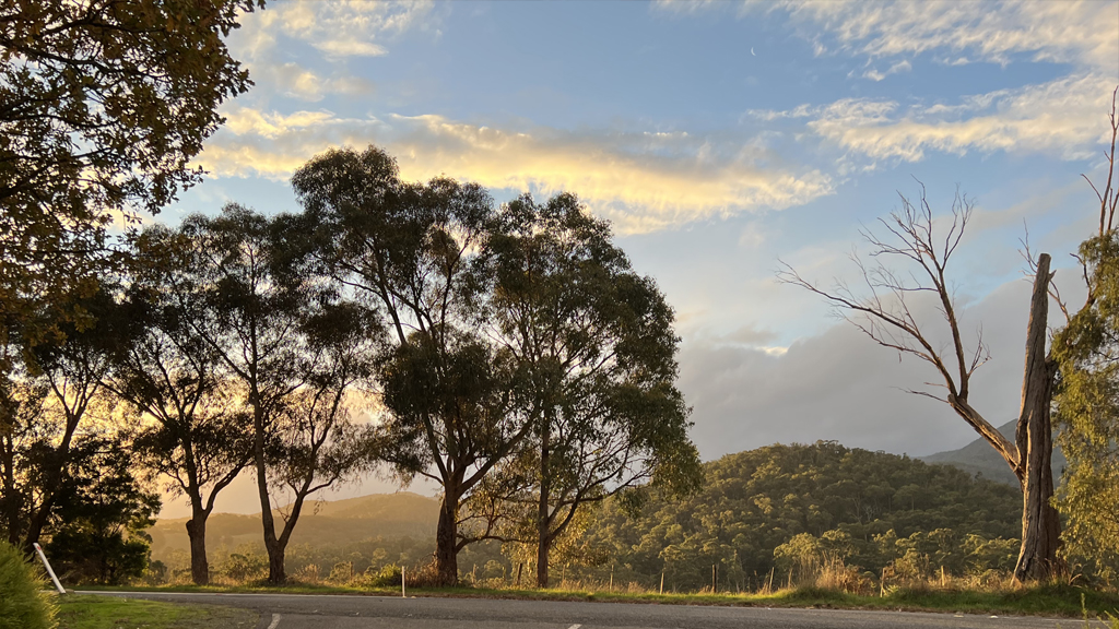 Yarra Valley Private Winery  Private Tour